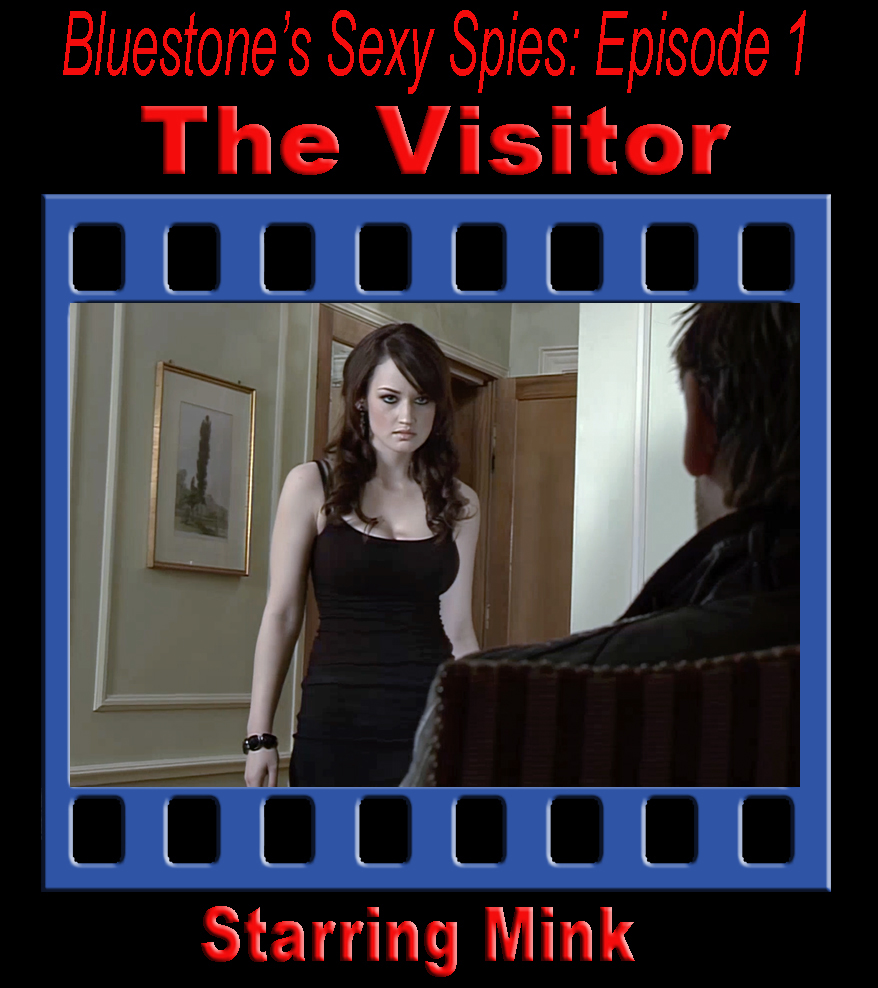 StandardProductBoxSpies1