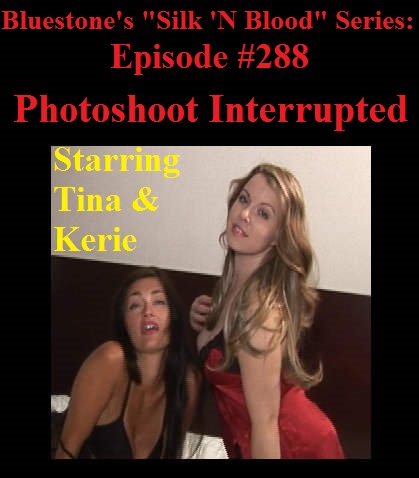 Episode 288 -  Photoshoot Interrupted